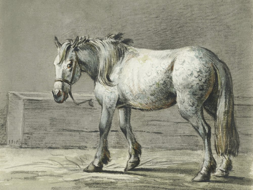 Standing Horse by Jean Bernard
