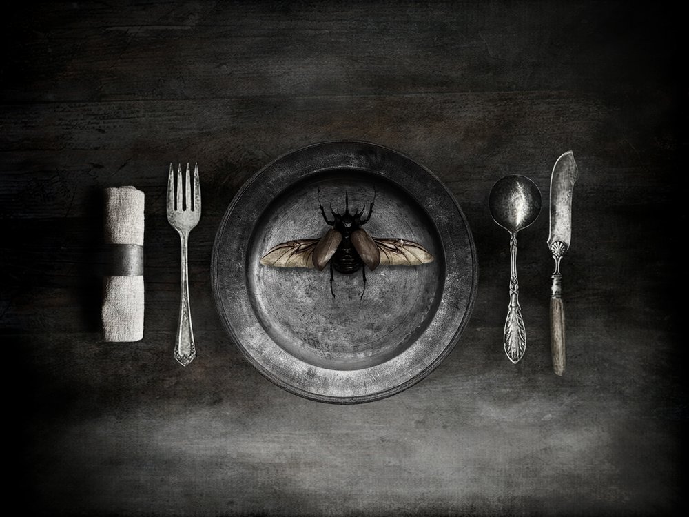Unsettling Beetle Meal by Jeffrey Hummel
