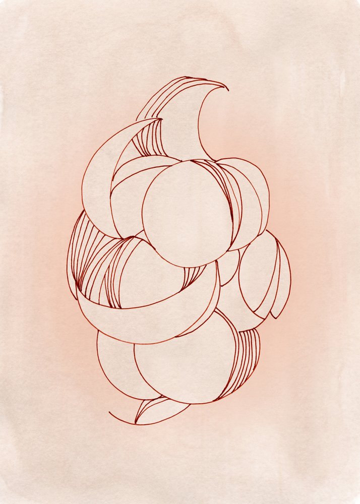 Soft Abstract Bloom by Jenja Braun