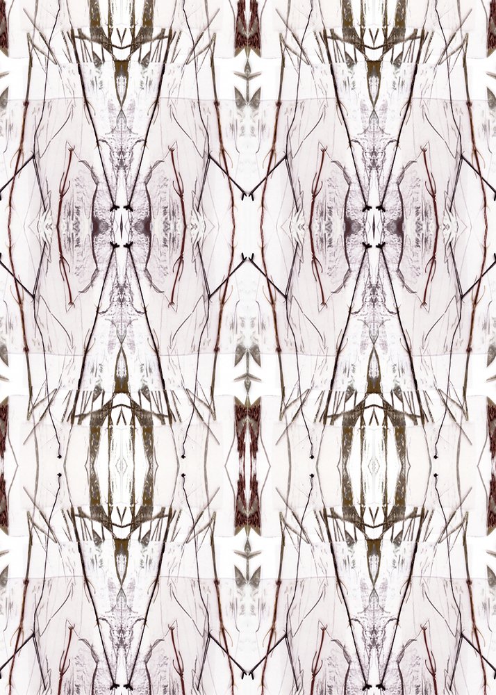 Symmetrical Nature Pattern by Jenja Braun