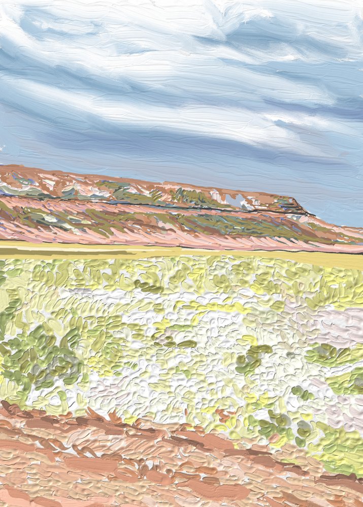 Sweeping Desert Mesa by Jenna Alheit