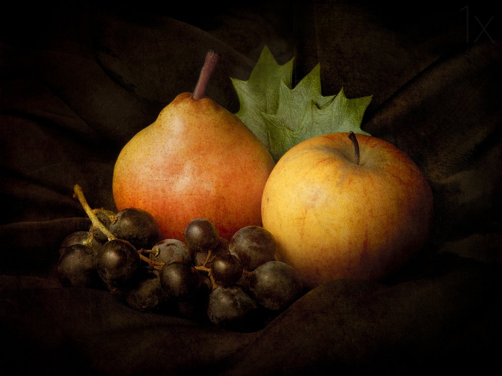 Dark Harvest Still Life by Jerome Zakka Bajjani