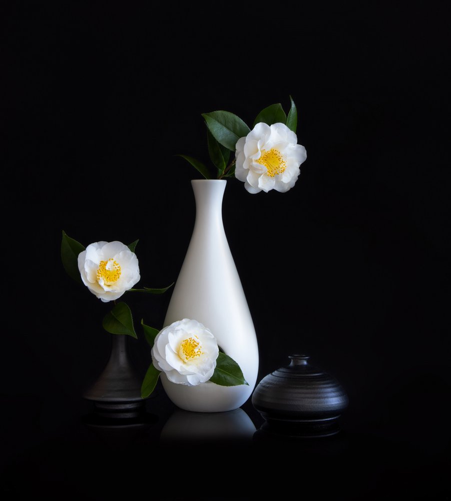White Camellias Still Life by Joanna W