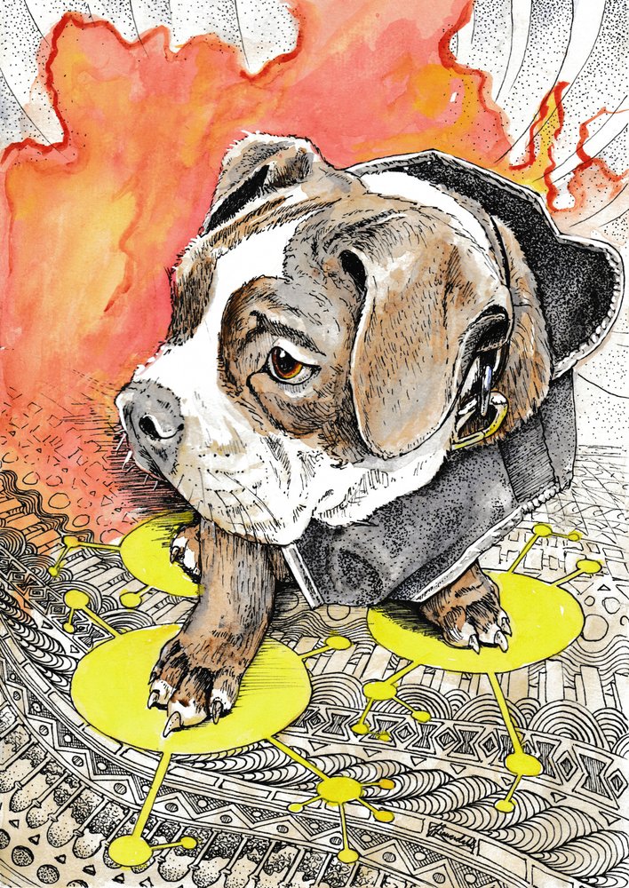 Puppy