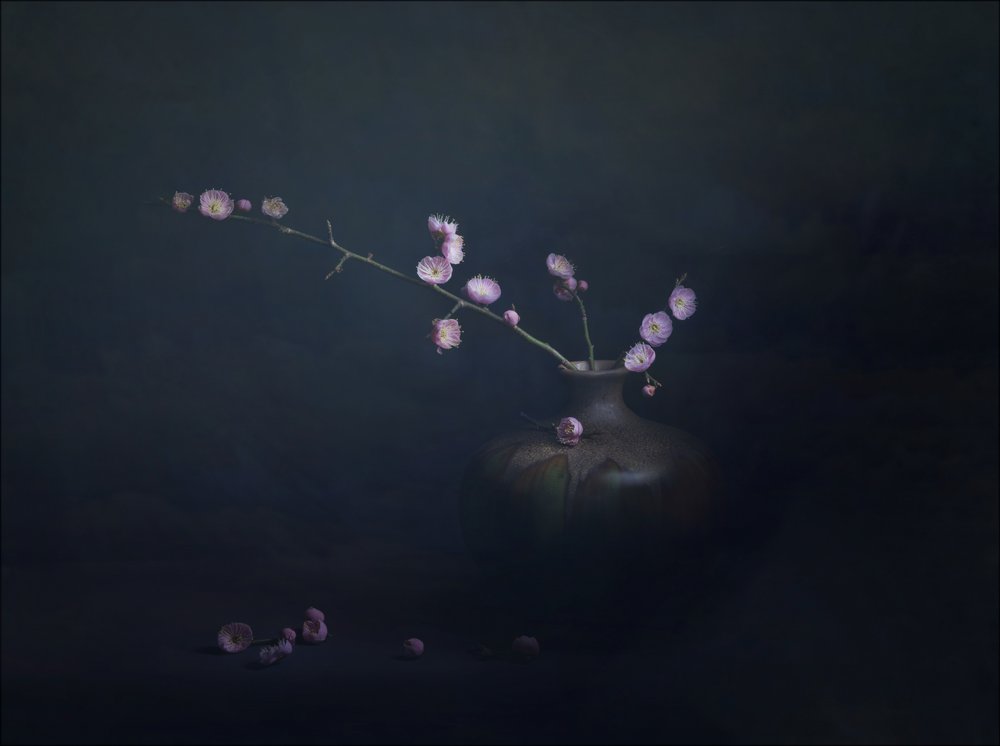 Plum Blossom Still Life by John-Mei Zhong