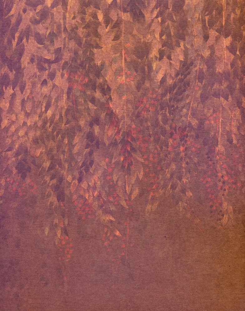 Cascading Wisteria Blooms by Josie George
