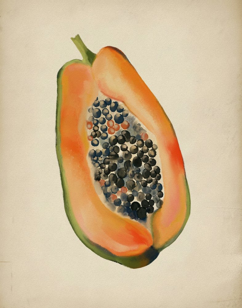 Vibrant Papaya Half by Josie George