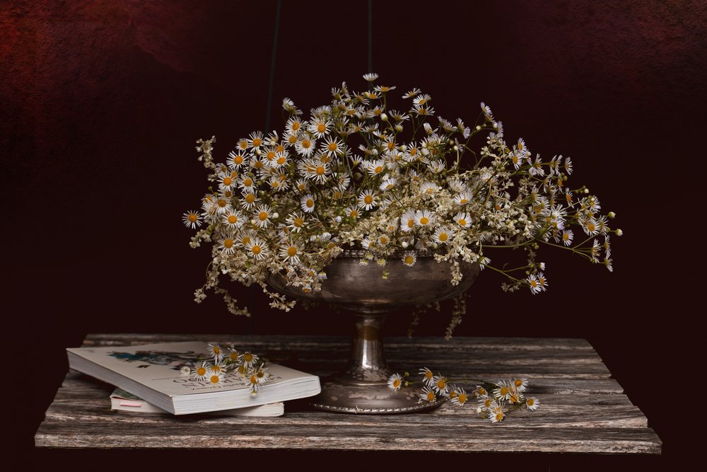 Chamomile and Old Books by Juan Antonio Palacios