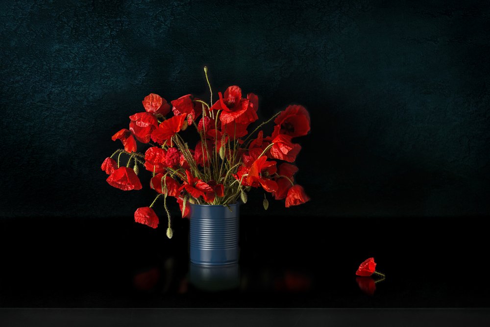 Dramatic Red Poppies by Juan Antonio Palacios