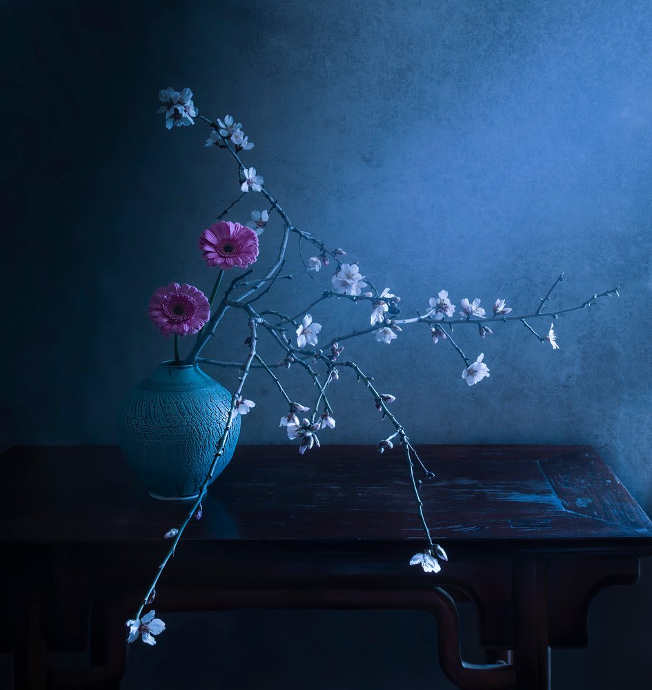 Dark Floral Elegance by Judy Tseng