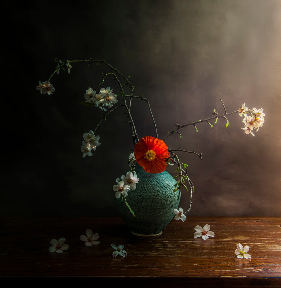 Moody Poppy Blossoms by Judy Tseng