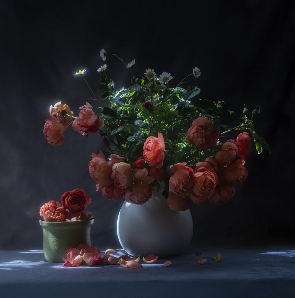 Moody Roses Still Life by Judy Tseng
