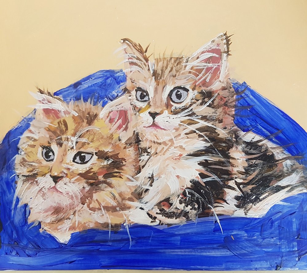 Two Cozy Kittens by Jukyong Park