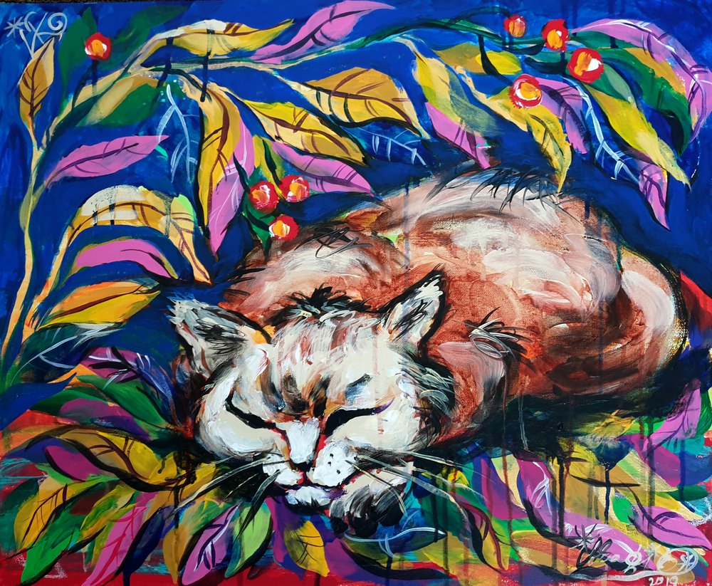 Peaceful Sleeping Cat by Kanat Ibragimov
