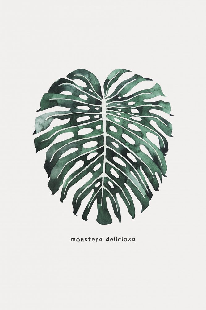 Monstera Leaf Watercolor by Karen Menzenbach