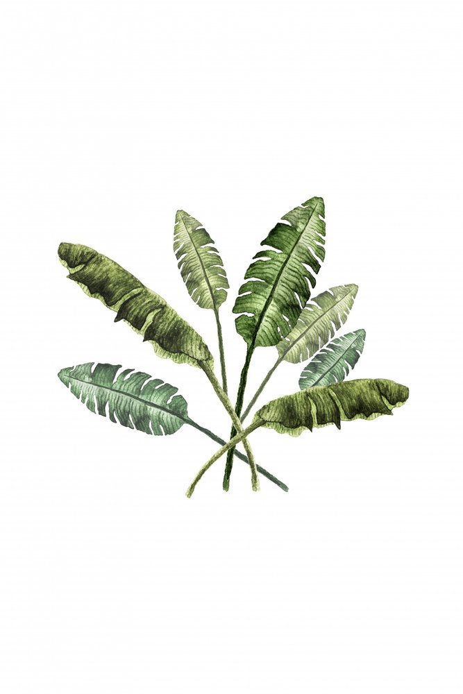 Vibrant Tropical Leaves by Karen Menzenbach
