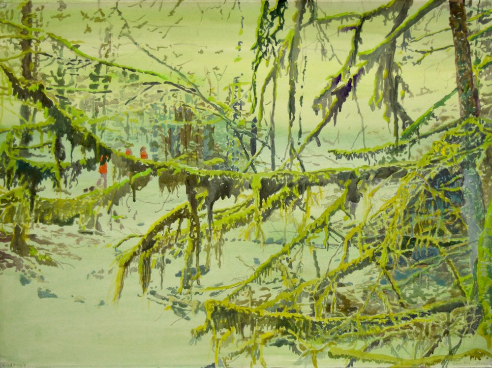 Misty Mossy Woods by Karin Bos