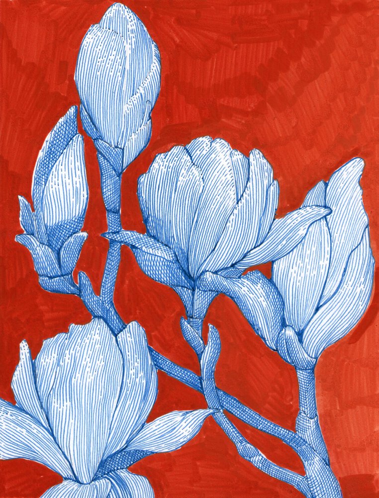 Bold Blue Magnolias by Katie O'Shea
