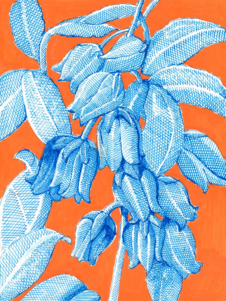 Vibrant Blue Botanicals by Katie O'Shea