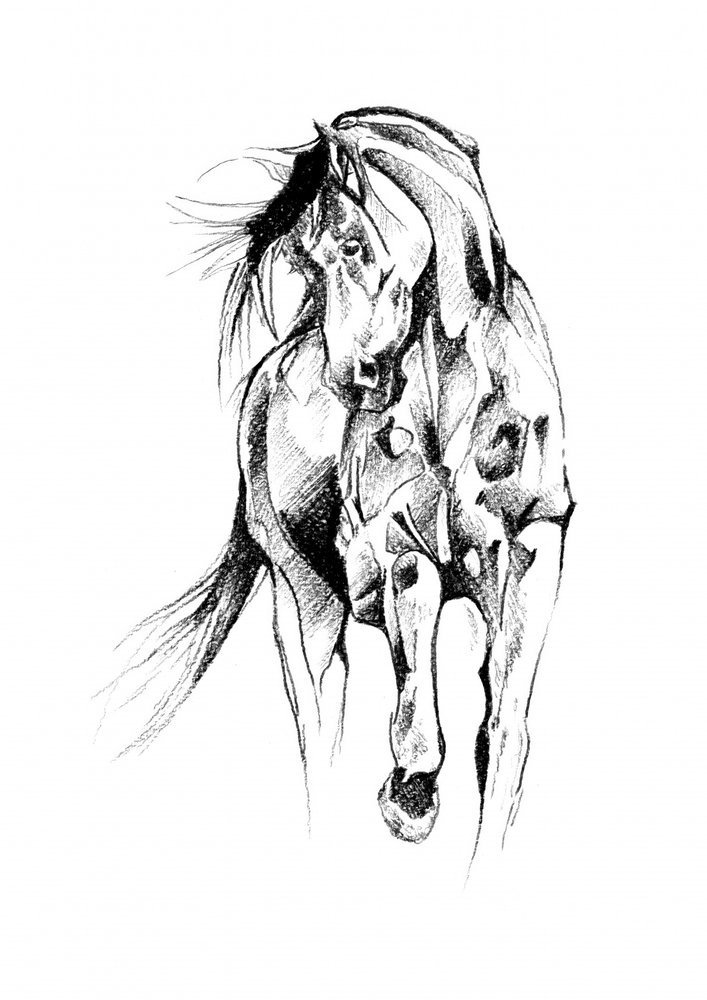 Dynamic Horse Sketch by Kulik