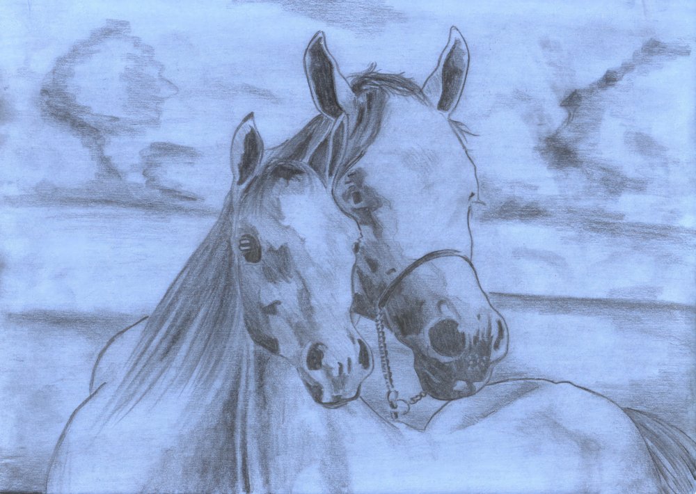 Gentle Horse Bond Sketch by Kulik