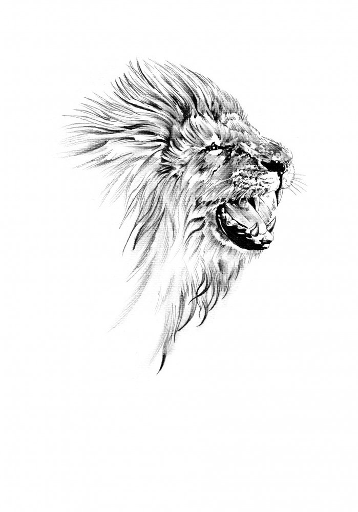 Majestic Roaring Lion by Kulik