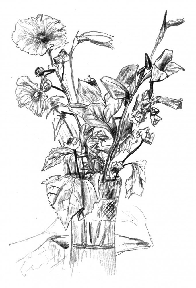 Pencil Floral Still Life by Kulik