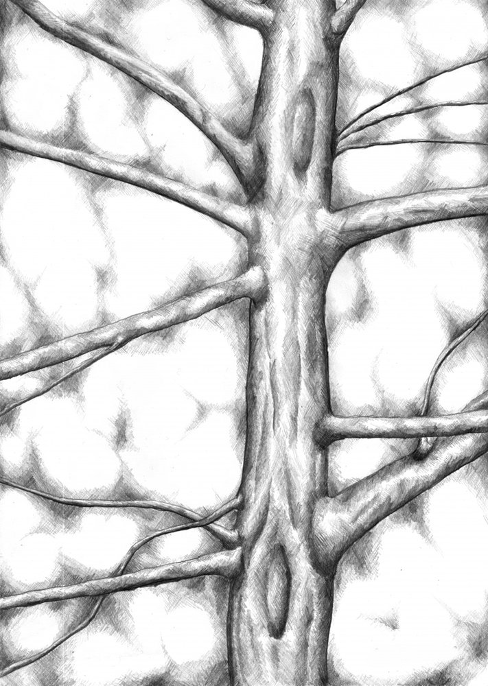 Textured Tree Trunk by Kulik