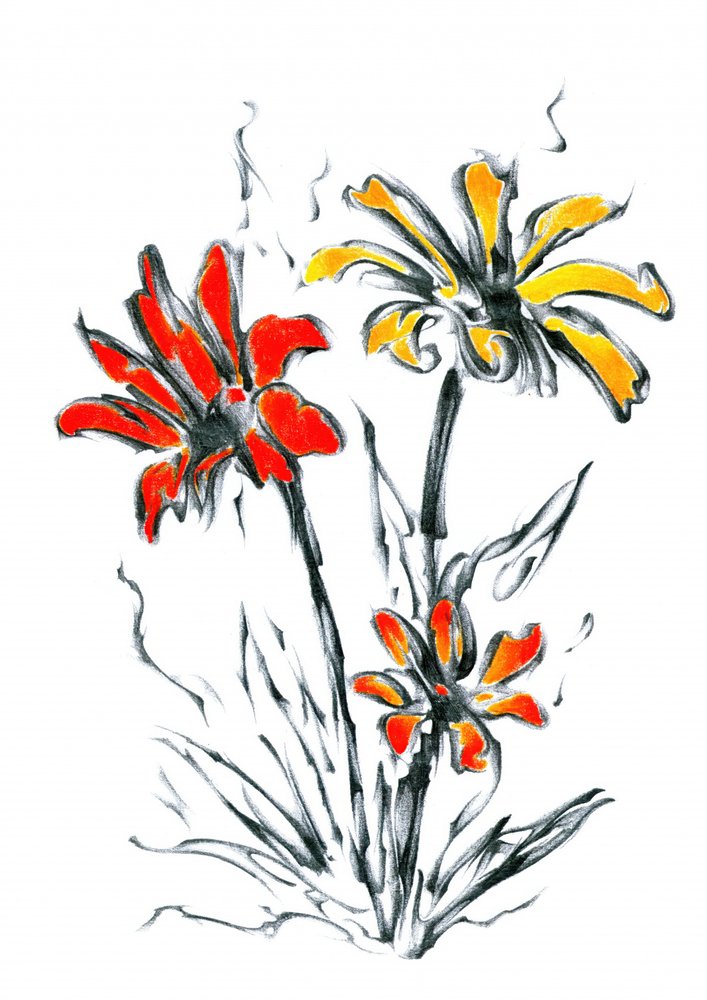 Vibrant Floral Sketch by Kulik