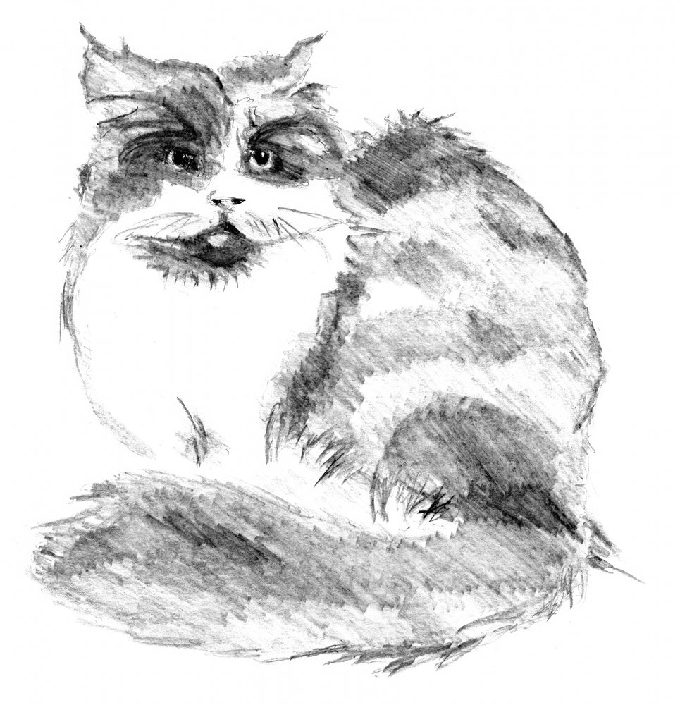 Whimsical Fluffy Cat Portrait by Kulik