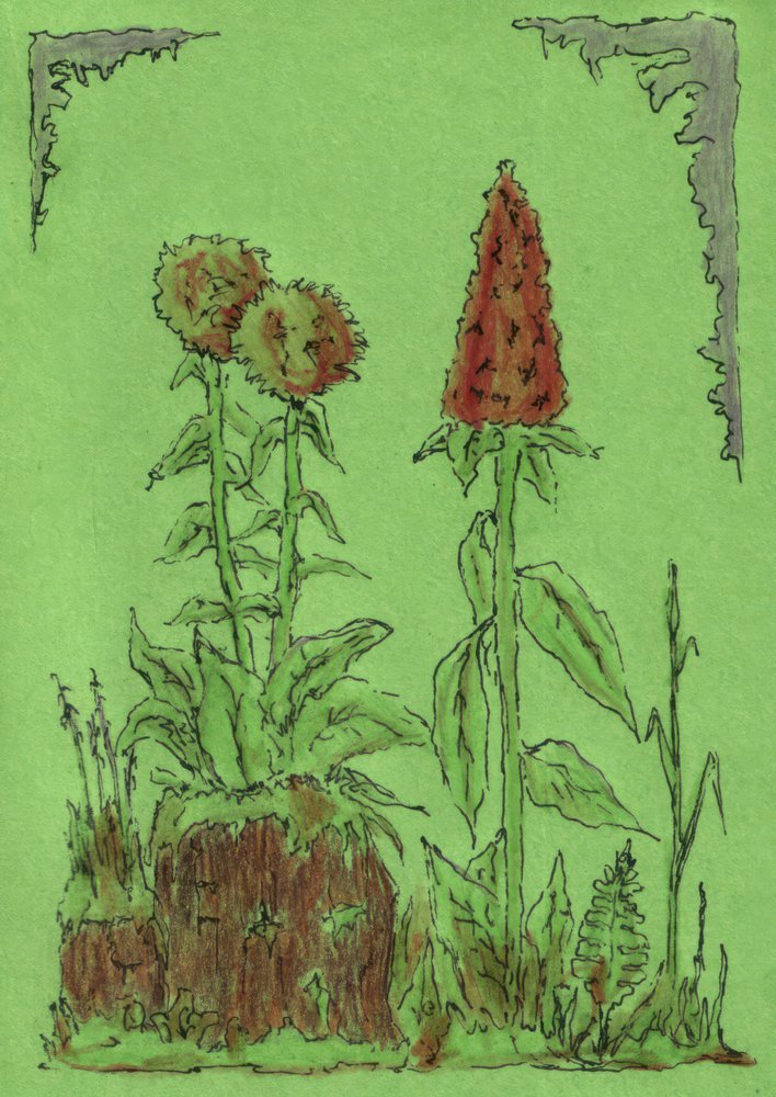 Whimsical Garden Plants by Kulik