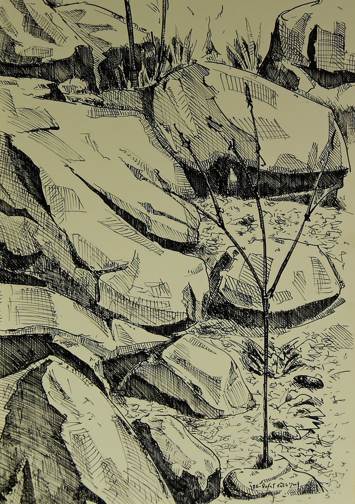Young Tree Among Rocks by Kulik