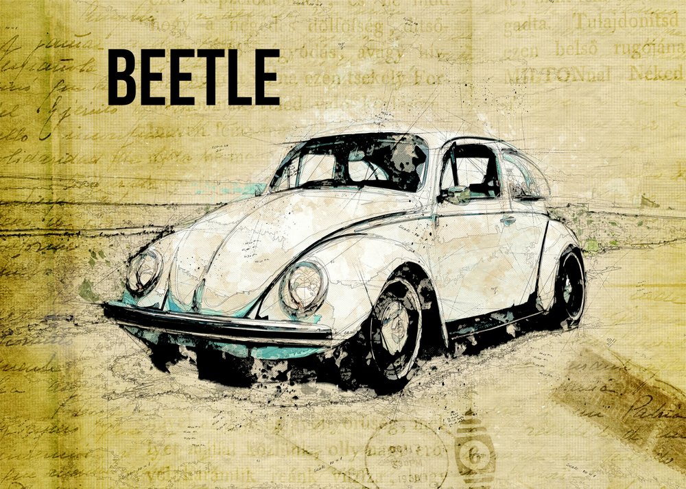 Vintage Beetle Sketch by Lembayung senja studio [Vintage Poster]
