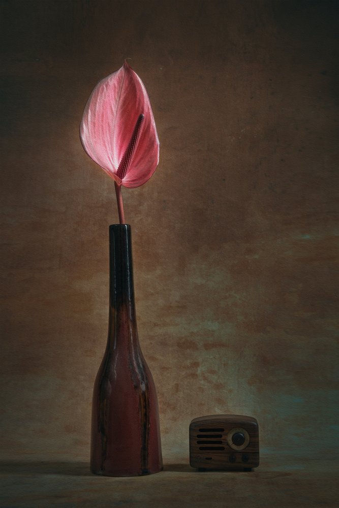 Elegant Anthurium and Radio by Liu Xing