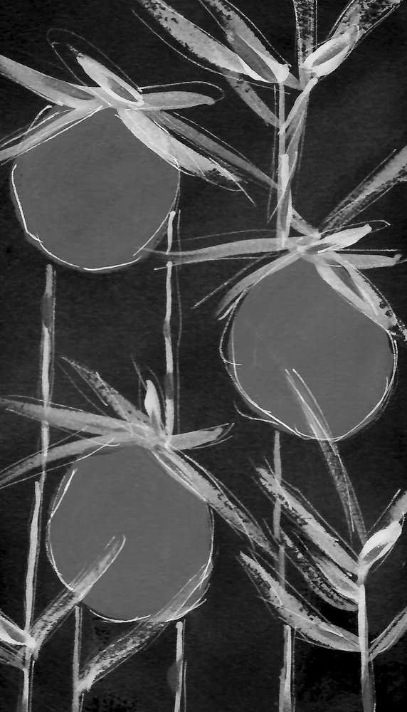 Abstract Botanical Forms by Lori Ann Folz