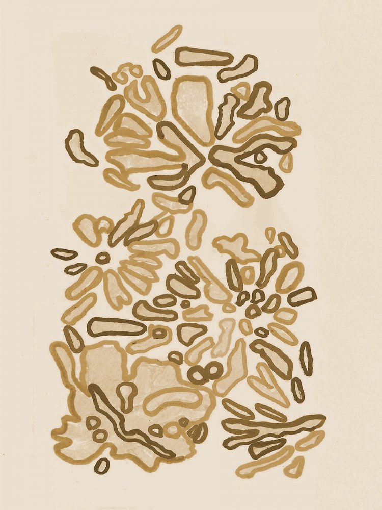 Fluid Organic Shapes by Lori Ann Folz