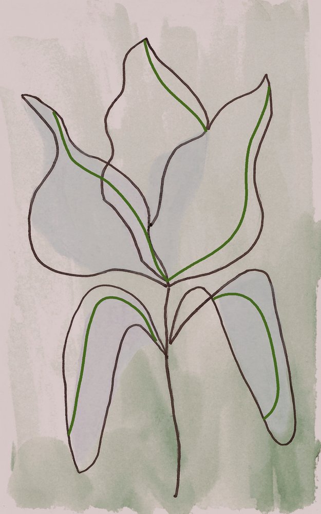 Minimalist Botanical Outline by Lori Ann Folz