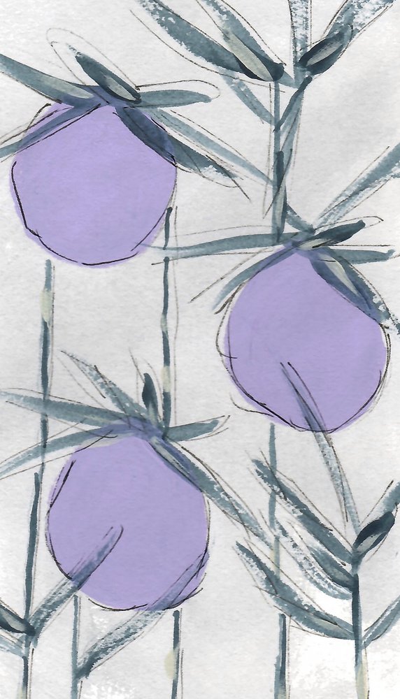 Purple Botanical Fruits by Lori Ann Folz
