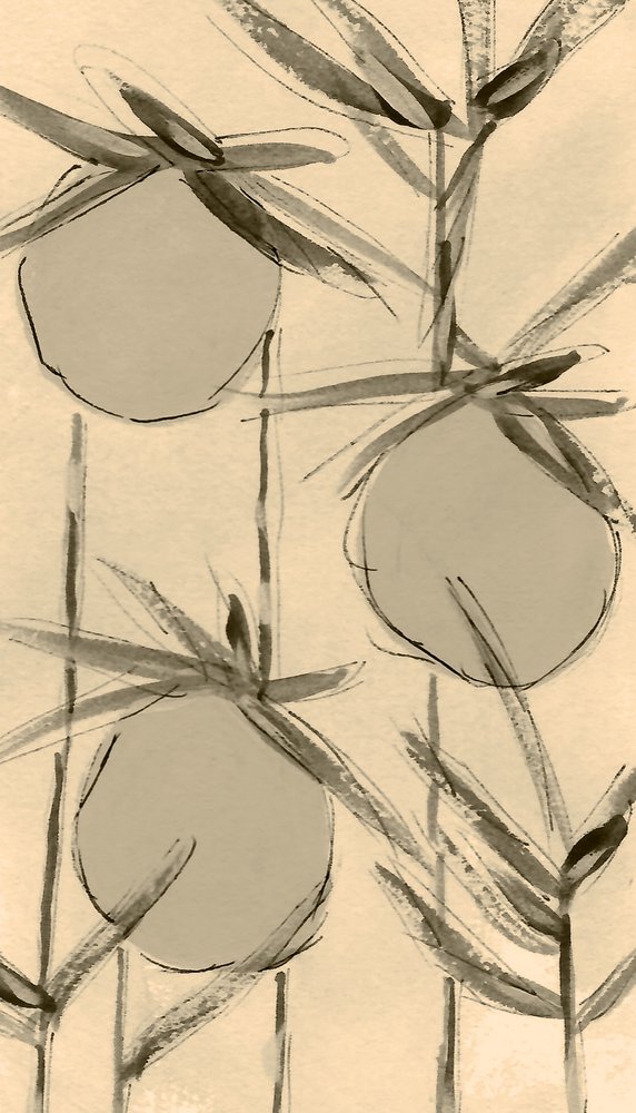 Sepia Cotton Plants by Lori Ann Folz