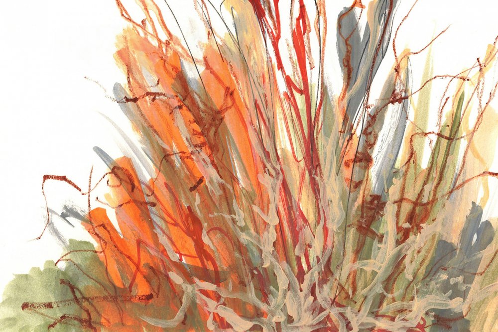 Tangled Autumn Growth by Lori Ann Folz