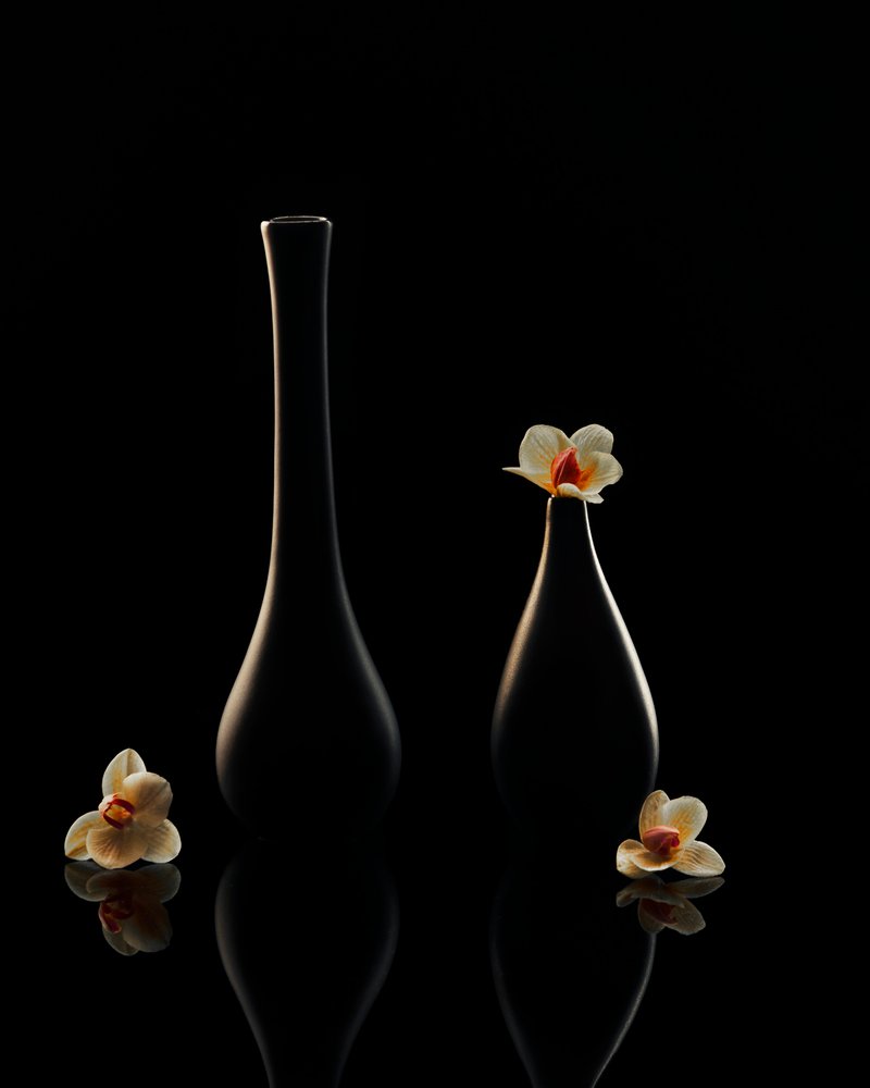 Elegant Orchid Reflections by Louie Luo