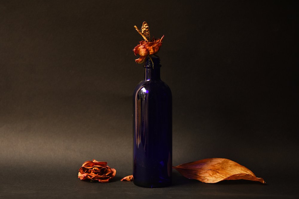 Dried Rose Blue Bottle by Ludmila Shumilova