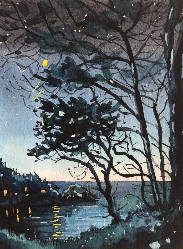 Magical Night Reflections by Luisa Millicent