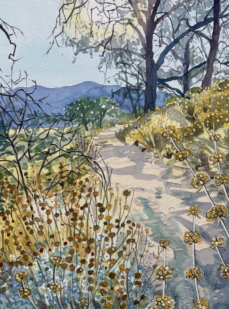 Tranquil Nature Trail by Luisa Millicent