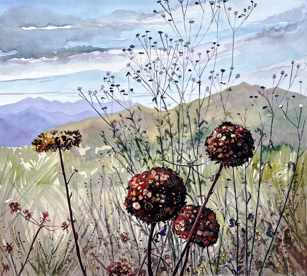 Wildflowers and Mountains by Luisa Millicent