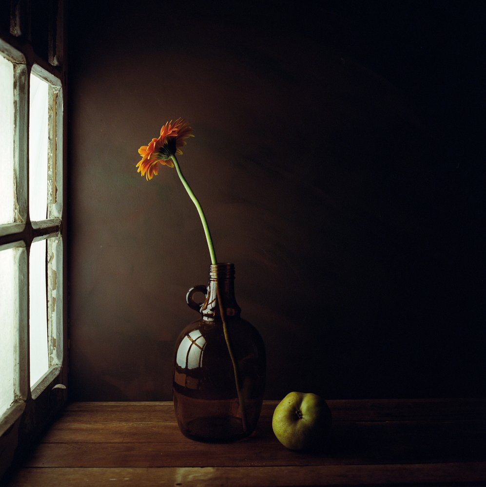 Moody Window Still Life by Luiz Laercio