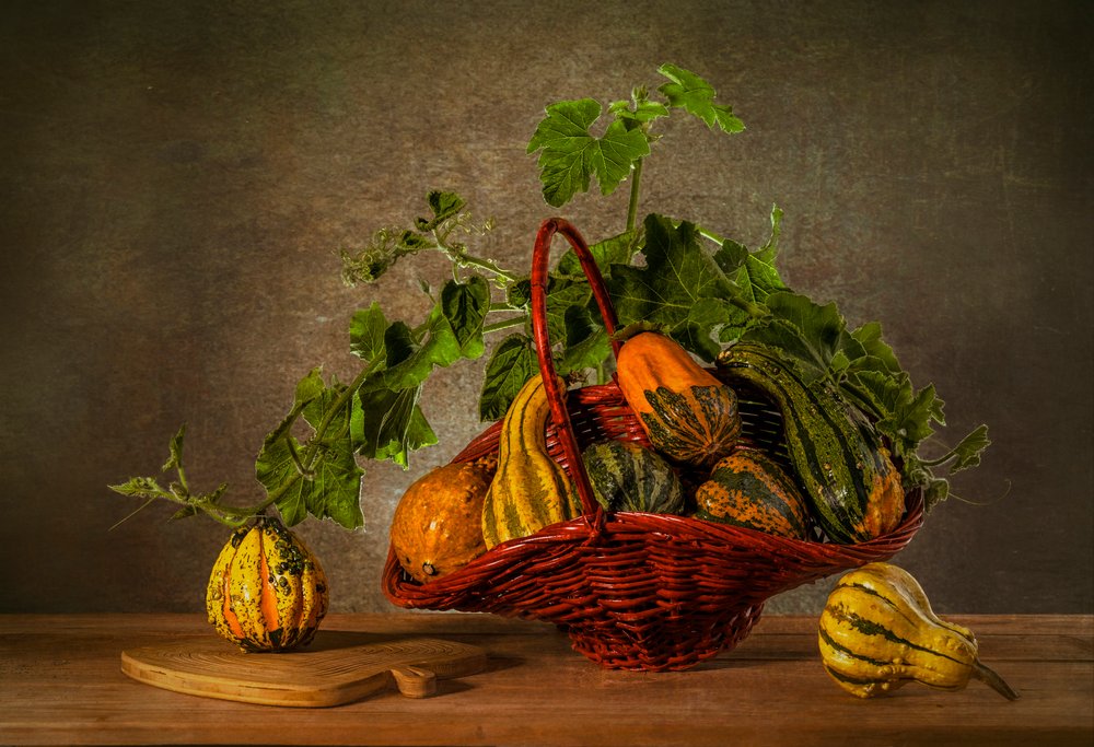 Autumn Harvest Gourds by Lydia Jacobs