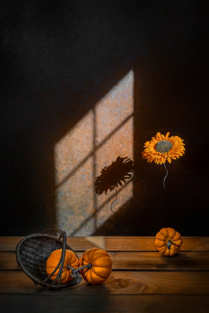 Autumn Pumpkins and Sunlight by Lydia Jacobs