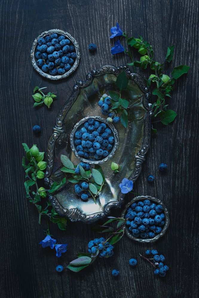 Blueberries on Silver by Lydia Jacobs
