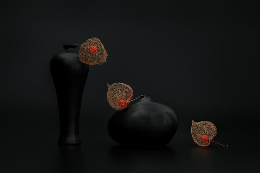 Chinese Lanterns Black Vases by Lydia Jacobs
